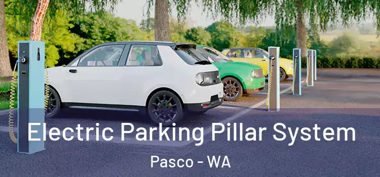 Electric Parking Pillar System Pasco - WA